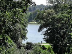 Stadtpark Hamburg Harburg - Bäume am Aussenmühlenteich.
