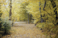 Waldweg mit Herbstlaub im Bramfelder Hohnerkamp, Gartenstadt.