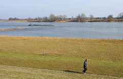 Wiesen am Ufer der Elbe - ein Binneschiff fährt Richtung Schleuse Geesthacht - ein Jogger läuft am Deich.