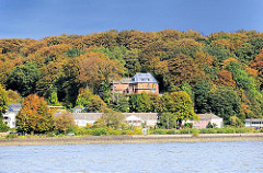 Herbstwald am Ufer der Elbe - am Ufer das ehem. Kurhaus.