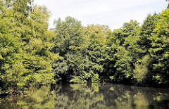 Wald im Stadtpark Harburg - Bäume am Wasser - Fotos aus dem Stadtteil Wilstorf.