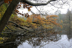Parks in Hamburg Teetzpark am Alsterlauf - herbstliche Bäume am Wasser.