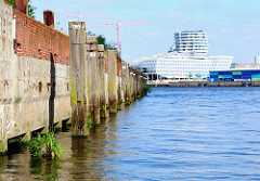Holzdalben / Streichdalben schützen das Mauerwerk eines Speichers  im Hamburger Moldauhafen - die Wasserlinie ist mit Wildkraut bewachsen.