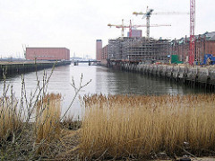 Baustelle der Hamburger Hafencity am Sandtorhafen; Baukräne auf Hamburgs grösster BAustelle. Am Ende des Hafenbeckens wächst hohes Gras - im Hintergrund der Kaispeicher A und die Sandtorhafenklappbrücke.