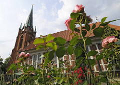Hamburger Kirchen St. Nikolaikirche HH-Moorfleet - blühende Rosen auf dem Friedhof.