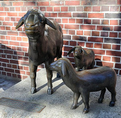 BronzeSkulpturen Schaf mit Lämmern - Lämmertwiete Hamburg Harburg.