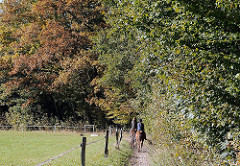 Bezirk Hamburg Wandsbek Stadtteil Bergstedt Naturschutzgebiet Hainesch Iland