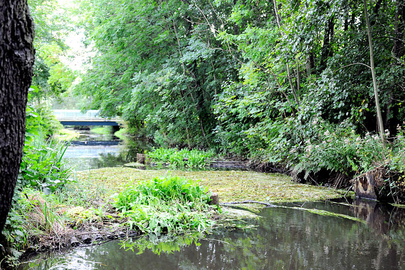 bildarchiv-hamburg.com: Foto „Blick auf den Seevekanal in ...