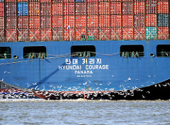 Heck des Containerschiffs HYUNDAI COURAGE beim Festmachen am HHLA Container Terminal Altenwerder - Möwen fliegen dicht über dem Wasser der Süderelbe.