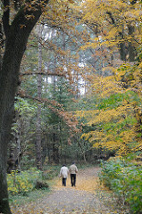 Spaziergänger im herbstlichen Park - Laub auf dem Weg im Teetzpark.