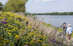 Bilder aus Hamburg Reitbrook - Naturschutzgebiet Reit - Naturbeobachtungen mit Fernglas an der Doveelbe.