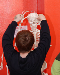 Hamburgs Kindermuseum am Osdorfer Born - ein Junge spielt mit den Armen eins Skeletts.
