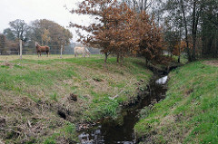 Flüsse in Hamburg ländliche Gegend in Hummelsbüttel - Pferde auf der Wiese - Susebek am Susebekweg.