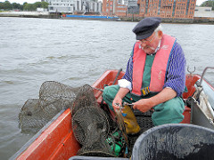 Der Fischer holt die Reuse in die Jolle - Fischfang in der Billwerder Bucht, Hamburg Rothenburgsort.
