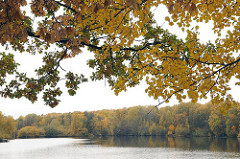 Hamburger Herbstbilder aus Bramfeld - herbstlich gefärbtes Laub am Grossen Bramfelder See