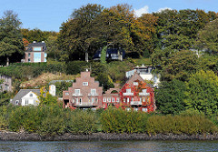 Wohnhäuser am Ufer der Elbe - die Fassade eines Klinkergebäudes ist mit wildem Wein mit roten Herbstblättern bewachsen.