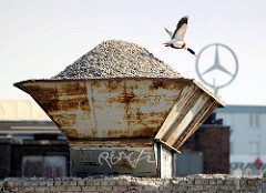 Schütte, Lager mit Baustoff - Steinen am Billehafen von Hamburg Rothenburgsort - eine Brandgans fliegt auf.