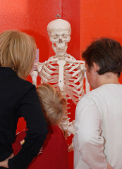 Kindermuseum Hamburg Osdorf - Kinder betrachten mit ihren Müttern ein Skelett.
