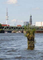Reste einer alten Holzdalbe / Anlegepfahl - die Spitze ist mit Gras und Wildkraut bewachsen - Reiherstieg im Hambuger Hafen.