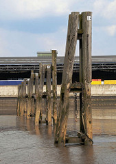 Niedrigwasser im Hamburger Hafen Holzdalben im Schlick des Moldauhafens,