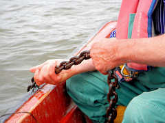 Einholen der in der Billwerder Bucht ausgelegten Reusen - der Fischer hievt die Kette an Bord der Jolle.