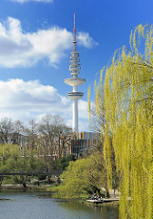 Weide im Frühlingsgrün an den Wallanlagen - Fernsehturm / Heinrich Hertz Turm, blauer Frühlingshimmel.