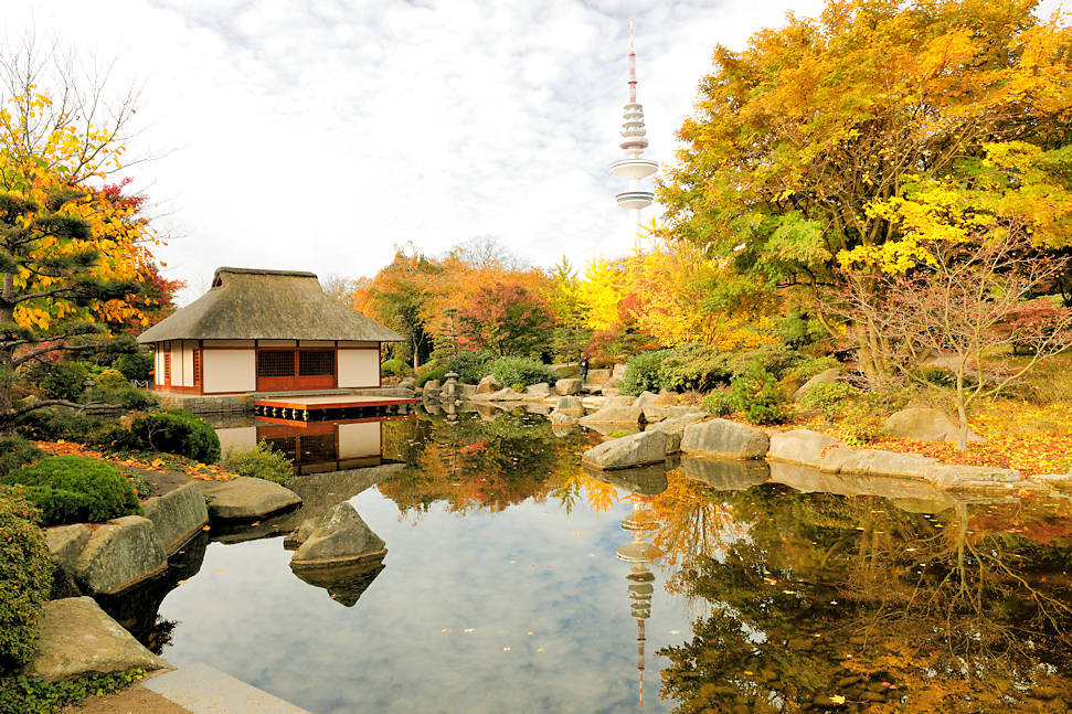 Bildarchiv Hamburg Com Foto Herbst In Hamburg Japanischer