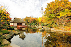 Herbst in Hamburg - Japanischer Garten Teehaus und Fernsehturm in Planten un Blomen; Herbstbäume in prächtigen Farben - Indian Summer / Goldener Herbst.