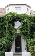 Mit Kletterpflanzen bewachsener Hauseingang und Erkerturm - Immergrünes Geissblatt an der Hausfassade - Wohngebäude Hamburg Heimfeld.