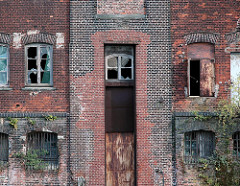 ALte Fassade der Harburger Mühlenbetriebe am Schellerdamm, zerbrochene Fensterscheiben - Birken wachsen aus dem Mauerwerk (2007 ).