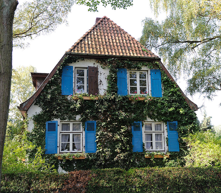 bildarchiv-hamburg.com: Foto Einzelhaus mit blauen Fensterluken aus Holz -  Fassade mit Efeu bewachsen - Elbvorort Iserbrook.