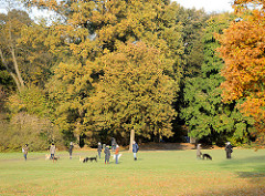 Hundespielplatz im Jenischpark - Hunde spielen in der Herbstsonne auf der Wiese, Bäume in Herbstfarben / Herbstblätter.
