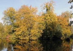 Herbststimmung am Wohldorfer Wald.