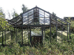 Altes Treibhaus - aufgegebenes Glashaus - Gras und Gestrüpp überwuchert das GEbäude.