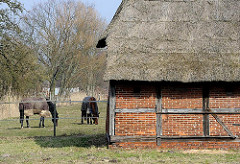 Scheune mit Strohdach - Fachwerkkonstruktion - grasende Pferde auf der Wiese.