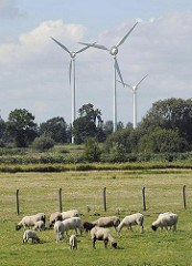 Windkraftanlage in Hamburg Neuengamme - Windräder in den Vierlanden - weidende Schafherde auf einer Wiese in Hamburg Neuengamme.