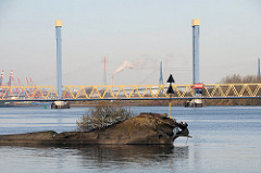 Wrack mit Sträuchern bewachsen - Suederelbe vor Moorburg, Kattwykbrücke.