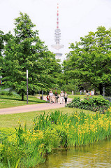 Grünanlagen in Hamburg - Park in der Hamburger Innenstadt - Planten un Blomen; im Hintergrund der Telemichel / Fernsehturm.