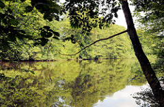 See Hörndiek in Hamburg Bergstedt; Bäume stehen dicht am Seeufer.