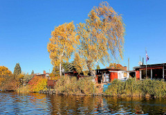 Herbstbäume am Bullenhuser Kanal in Hamburg Rothenburgsort; prächtige Herbstfarben in den Schrebergärten auf der Billerhuder Insel.
