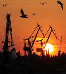 Untergehende Sonne hinter Werfkränen - Silhouetten der Kräne von Blohm + Voss -  Möwen im roten Abendhimmel.