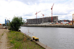 Wildkraut und Poller am Petersenkai - Blick über den Baakenhafen zur Baustelle der Hamburger Hafencity Universität am Versmannkai.