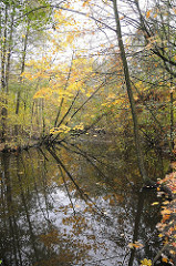 Herbst in Hamburg Grosser Bramfelder See