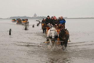 Von zwei Pferden gezogene und mit Fahrgästen dicht besetzte Wattwagen fahren durch das Wasser Richtung Cuxhaven - Pricken weisen den Weg - im Hintergrund die Insel Neuwerk mit dem hohen Leuchtturm