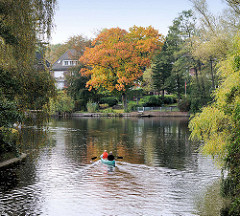Herbstlicher Baum am Ufer des Alsterkanals in Hamburg Alsterdorf - ein Kanu fährt aus dem Skagerrak-Kanal in die Alster ein.