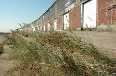Stillgelegte Kaianlage am Versmannkai / Baakenhafen. Hohes Gras wächst an der Laderampe (2006)
