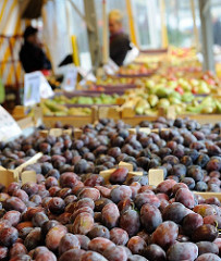 Wochenmarkt in Neugraben - Zwetschgen und anderes Obst auf dem Süderelbe Wochenmarkt.