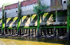 Kaimauer bei Niedrigwasser im Hamburger Hafen - Betonstützen der Kaianlage sind auf Eichenstämmen gegründet; Melniker Ufer / Moldauhafen.