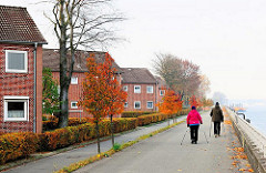 Nordic Walking auf der Hochwasserschutzanlage bei der AUE-INSEL; Wohnblocks und herbstliche Bäume.