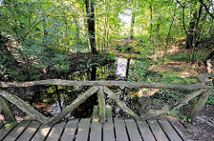 Holzbrücke über den Lauf der Wandse im Stellmoorer Tunneltal; naturbelassener Wasserlauf im Naturschutzgebiet.